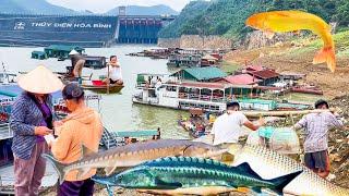 Hồ Thủy Điện Hòa Bình Mùa Nước Cạn║Đặc Sản Cá Tôm Sông Đà