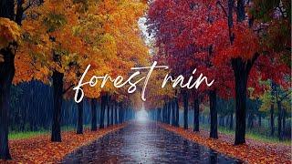  Relaxation in the autumn forest  Calming rain noise for sleep, relaxation or meditation 