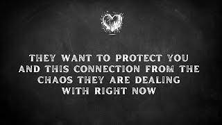 THEY WANT TO PROTECT THIS CONNECTION️‍[Love Tarot]