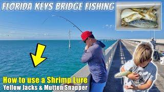 Bridge Fishing in FL Keys! Non-Stop Action! Helping Others Catch Fish