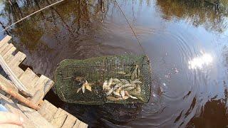 Рыбалка На Вентель(Мордушка Морда  Съездил На Дело За Берёзовыми Вениками