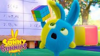 SUNNY BUNNIES | RUBIK'S CUBE | Cartoons for Kids | WildBrain