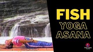 Fish Yoga Asana  - Step by Step | Yoga with Wai Lana