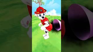 Pizza Pizza! Marshall Trolls Cappuccino!  #pawpatrol #funny #animation