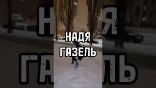 Надя газель #реабилитация #топ#помощь#shorts