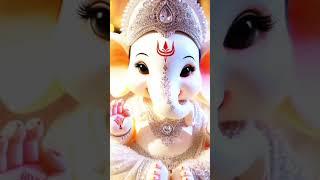 #sukhkarta_dukhharta_devacha_dev_tu_ganpati #ganpati#ganesh#cute#ganeshji#ganeshchaturthi#ganesha#yt