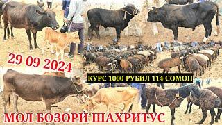 МОЛ БОЗОРИ НОХИЯИ ШАХРИТУС КАТТА МОЛ ВА МАЕДА МОЛ НАРХЛАРИ 29 09 2024 КУРС 1000 РУБИЛ 114 СОМОН