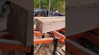 WIDE Black Walnut Boards