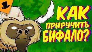 КАК ПРИРУЧИТЬ БИФАЛО В Don't Starve? НЕ, ПРАВДА, КАК?