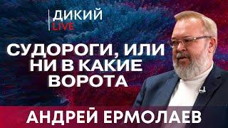 Андрей Ермолаев: Газовая "бусификация». Угасающие перспективы МИРA. Очередной замес.