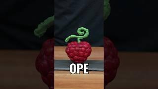 The Ope Ope Devil Fruit Tastes Horrible