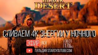 Ночной торговец  Black Desert - Нужна Каранда!