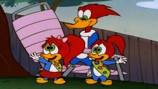 Summer Camp Adventure | 1 Hour of Woody Woodpecker Full Episodes
