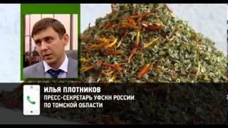 АССАМБЛЕЯ НАРОДОВ ТО"- Выступление команды Ассамблеи и тренера команды Ахмелова А.М