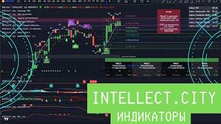 Обзор всех индикаторов INTELLECT.city