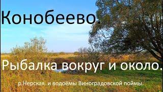 Конобеево. Рыбалка вокруг и около. Река Нерская и водоёмы Виноградовской поймы.