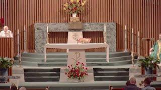 Daily Mass - Thursday