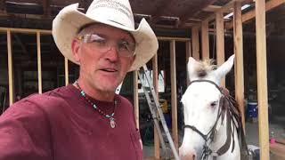 Wild Mule Training: Willie The Wild Mule Loves Construction and Finds Calm In Chaos