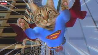 STORY CAT Siren HEAD SONG CLIP PARODY sirenhead Animation cartoon Nubaster Play