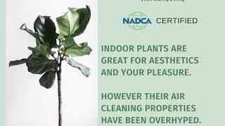 Indoor Plants Don't Clean The Air But Air Duct Cleaning Does