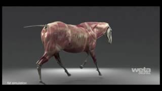 VFX Technology | Tissue System | Weta Digital