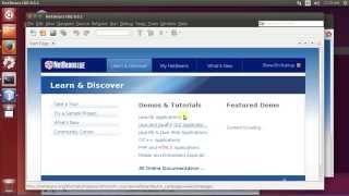 Installing latest NetBeans under Linux