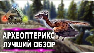 Археоптерикс (Archaeopteryx) в АРК. Лучший обзор: приручение, разведение и способности  в ark