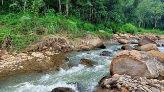 Swift River and Serene Stream: Relaxing River Sounds for Sleep, Work, focus, relax, meditation