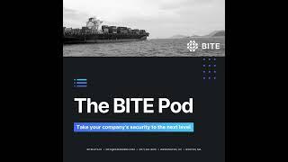 Unraveling National Security Secrets: The BITE Pod Exposes Trade Compliance Trends with Dr. David...