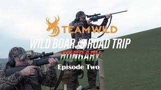 Wild Boar Hunting: Driven Hunting Shooting Skills and Techniques