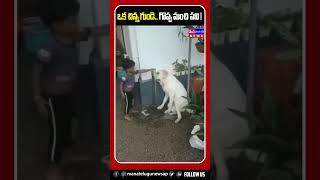 ఒక చిన్న గుండె.. గొప్ప మంచి పని || Boy Helps Stray Dog || #ytshorts #trendingshorts #viralshorts