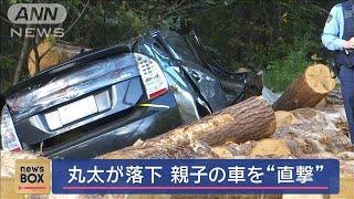 荷台から丸太落下　すれ違いざまに車“直撃”…　中には父と息子【スーパーJチャンネル】(2024年10月22日)