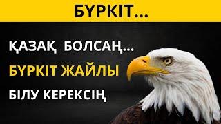 Бүркіт – мықты және шапшаң аңшы құс  Жануарлар туралы қызықты деректер.