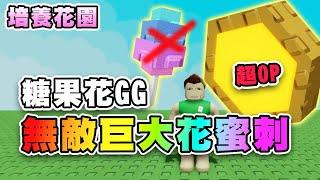 花蜜刺~屌打糖果花？結巨果超容易.版本新答案！血刺猬直接翻身！不是炸瓜是核爆磨菇雲！ 培養花園 | Roblox Grow A Garden