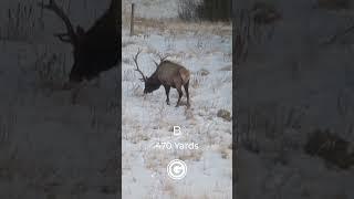 Which shot is your favorite? #hunting