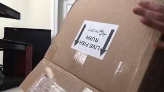 Unboxing Goldfish From CoastGem USA