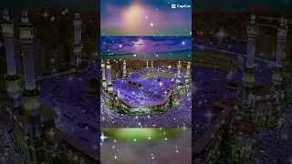 MD MAHIN