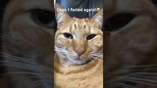 Oops I farted again!