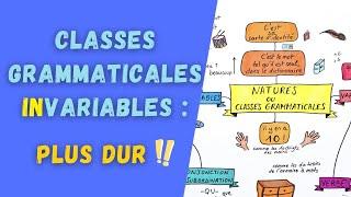 LES CLASSES GRAMMATICALES INVARIABLES (ou natures) : révisez vos basiques !