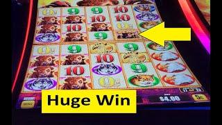 Huge win on Buffalo Triple Boost Slot! Aristocrat Game