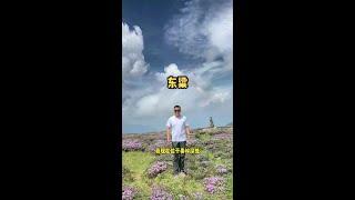 你们没看到的风景，我都帮你们记录下来了，下次可以一起吗#我爱秦岭山脉 #秦岭故事汇 #旅行推荐官