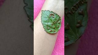 Ramu  name mehndi tattoo design #henna #youtubeshorts #trending #hennaart #hennadesign