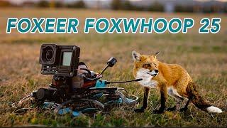 Foxeer Foxwhoop 25 - Unboxing & First Look! (Is it good!?)