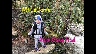Hiking Mt LeConte (Alum Cave Trail) Smoky Mountain National Park