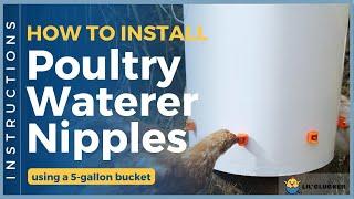 How to Install Chicken Waterer Nipples ( Easy DIY Project for your #chickens  #turkeys  #quail )