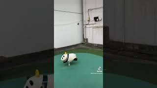 邪神ちゃんドロップキック 千代田区のビルの間にあるシュールなパンダ公園