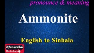 Ammonite - Sinhala Meaning with Pronounce සිංහල තේරුම උච්ඡාරණය සමඟ | Dilfinity Dictionary