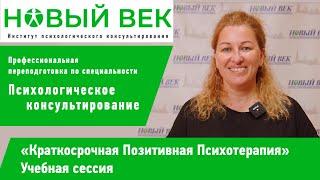 Сессия "Краткосрочная Позитивная Психотерапия", институт "Новый век"