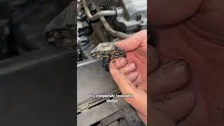 How to solve the problem of black smoke from car exhaust?#car
