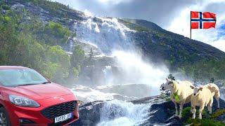 Mind-blowing Norway Road Trip Summer Adventure!!